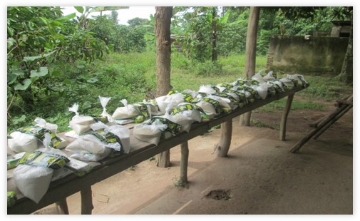 Elderly Aid